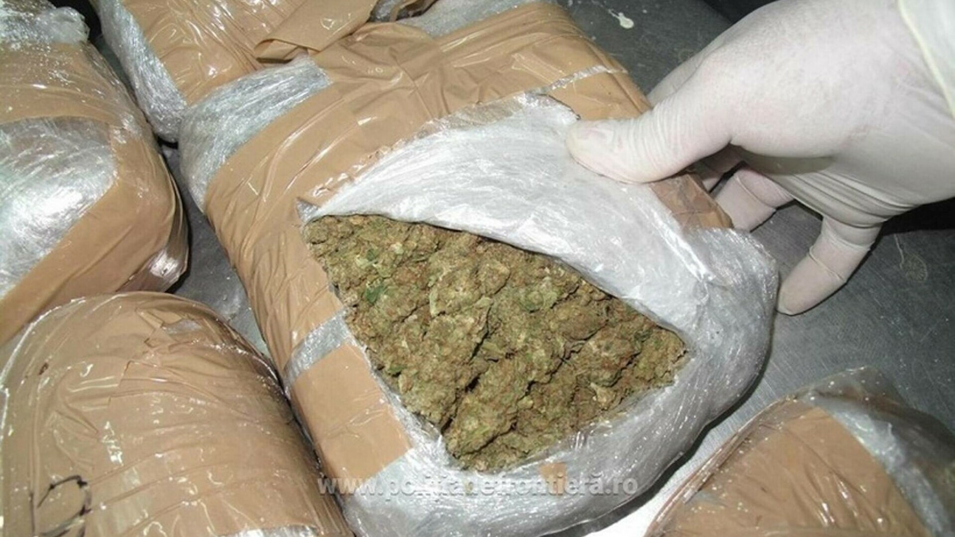 Poliția maghiară descoperă 4,4 kg de marijuana într-un microbuz care circula între România și Italia